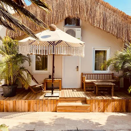 Kalia Ex Kale 锡德