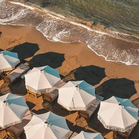 Kalia Ex Kale * Sidé