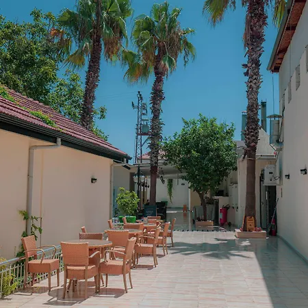 Kalia Ex Kale * Side