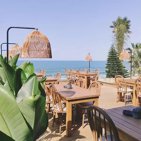 Kalia Ex Kale * Сиде