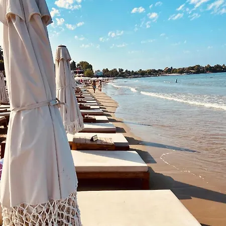 Kalia Ex Kale * Сиде