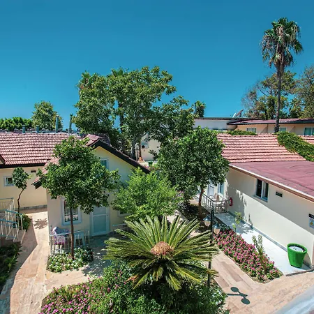 Kalia Ex Kale * Сиде