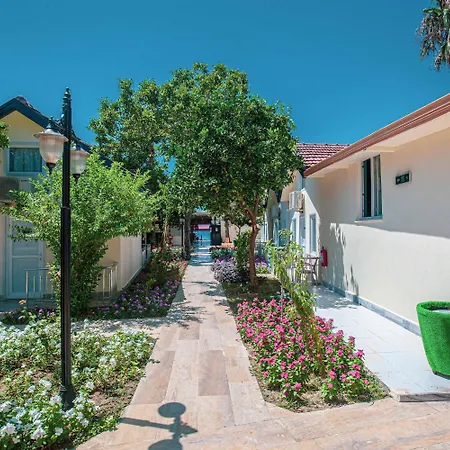 Kalia Ex Kale Сиде